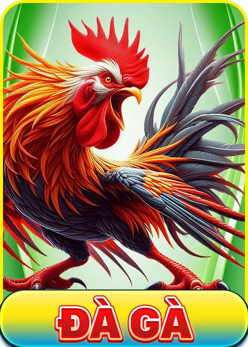 Đá gà