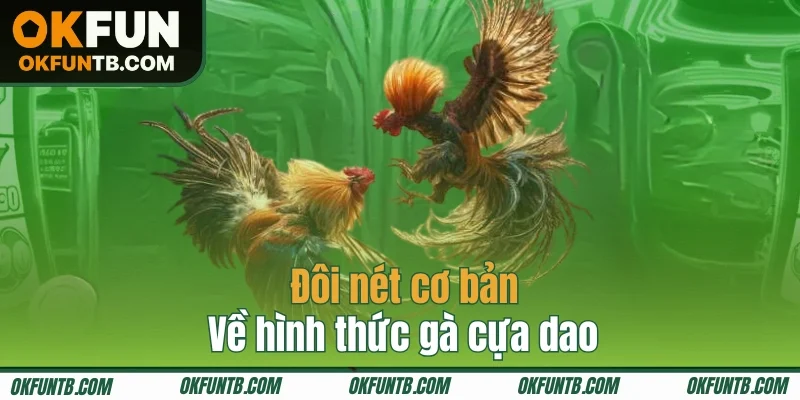 Tìm hiểu về loại hình cược gà cựa dao 