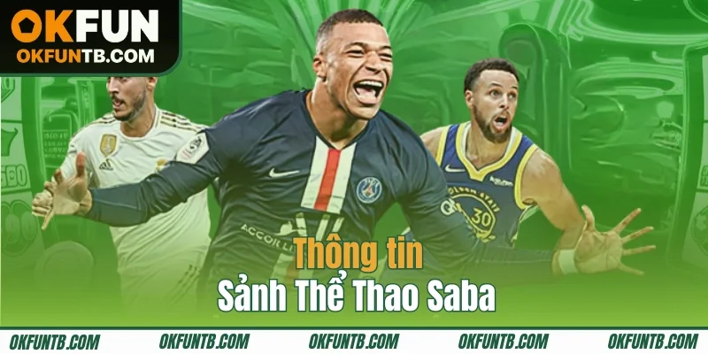 Tổng quan sảnh Thể Thao Saba quốc dân